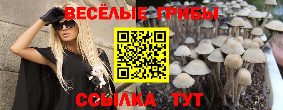 Кунгур  Галлюциногенные грибы мицелий  Вход с VPN 